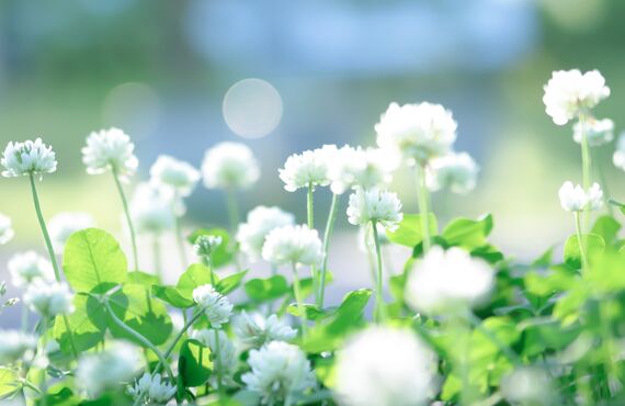 文京区の美容院で少人数プライベートサロンをお探しの方にオススメです